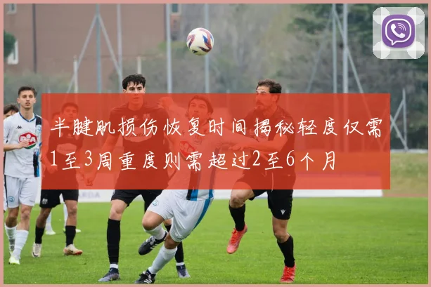 半腱肌损伤恢复时间揭秘轻度仅需1至3周重度则需超过2至6个月